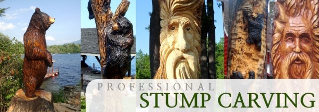 Professional Stump Carving